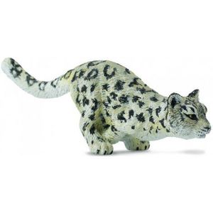 Leopard de zapada Pui - Collecta imagine