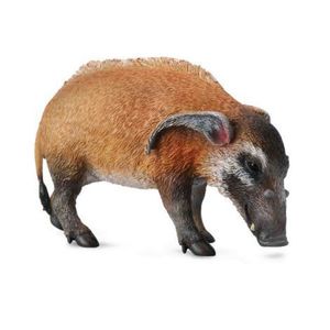 Porc Rosu- Collecta imagine