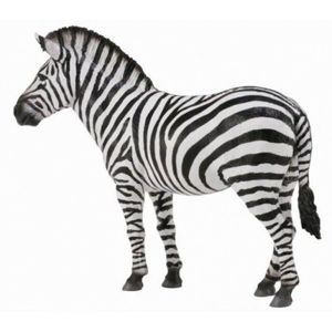 Zebra - Collecta imagine