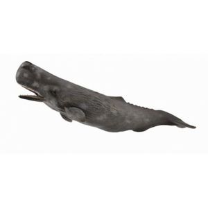 Balena Casalot - Collecta imagine
