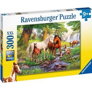 PUZZLE FAMILIE DE CAI LA RAU, 300 PIESE imagine