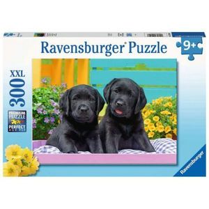PUZZLE CATELUSI, 300 PIESE imagine