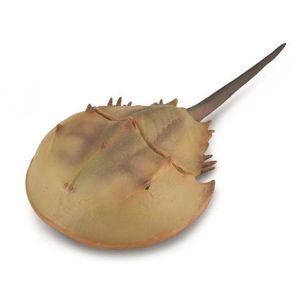 Figurina pictata manual Crab Potcoava imagine