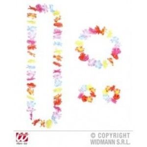 Set hawaii multicolor 1 imagine