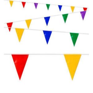 Ghirlanda stegulete multicolore imagine