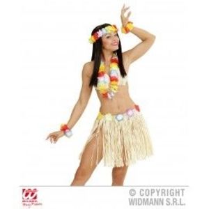 Set hawaii imagine