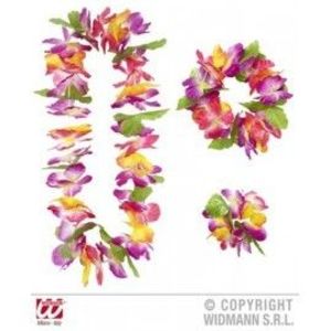 Set hawaii imagine