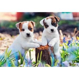 Puzzle Catelusi, 2X12 Piese imagine