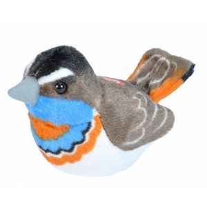 Pasare cu sunet Privighetoare Gusa Vanata - BLUETHROAT imagine