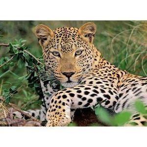 Puzzle Leopard, 100 Piese imagine