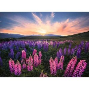 Puzzle Camp Cu Lupin, 500 Piese imagine