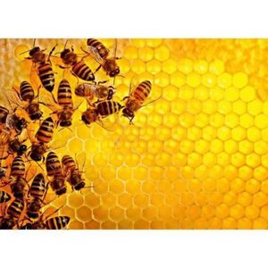 Puzzle Provocare Albine Si Fagure, 1000 Piese imagine