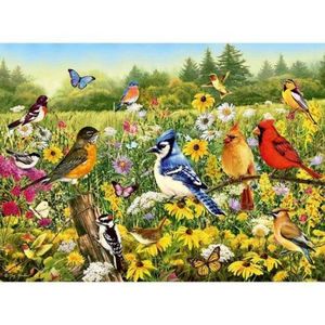 Puzzle Pasarele Colorate, 500 Piese imagine