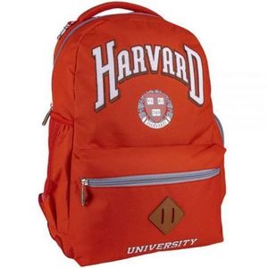 Rucsac Harvard, 30x44x13 cm imagine