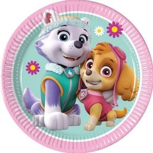 Farfurii petrecere paw patrol skye & everest 20 cm imagine
