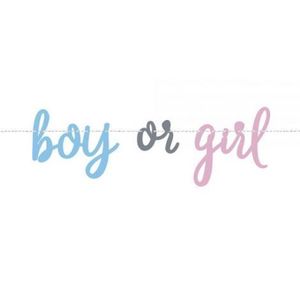 Banner gender reveal 213 cm imagine