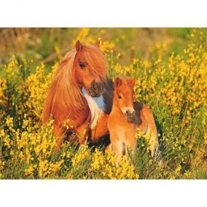 Puzzle Ponei, 100 Piese imagine