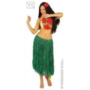 Fusta hula verde imagine