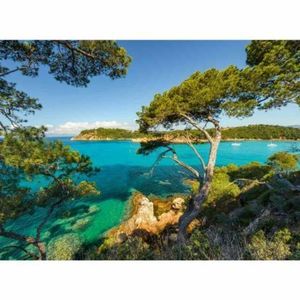 Ravensburger - Puzzle priveliste superba 500 piese design nou imagine
