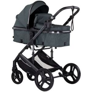 Carucior Chipolino Amore 2 in 1 basil imagine