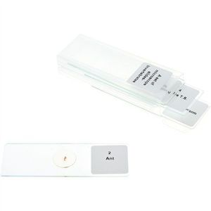 Set 5 lamele cu preparate microscopice, Nevertebrate, 7, 6 x 2, 5 x 0, 1 cm, uz didactic imagine