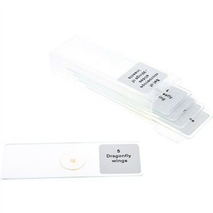 Set 5 lamele cu preparate microscopice, Aripi de insecte, 7, 6 x 2, 5 x 0, 1 cm, uz didactic imagine