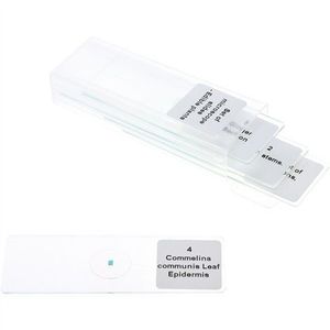 Set 5 lamele cu preparate microscopice, Plante comestibile, 7, 6 x 2, 5 x 0, 1 cm, uz didactic imagine