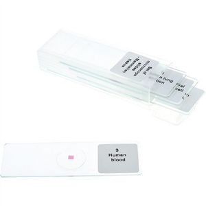 Set 5 lamele cu preparate microscopice, Tipuri de tesuturi mamifere, 7, 6 x 2, 5 x 0, 1 cm, uz didactic imagine
