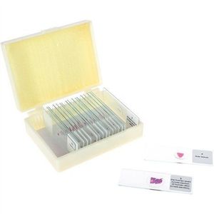 Set 20 lamele cu preparate microscopice, Tesuturi umane, 7, 6 x 2, 5 x 0, 1 cm, uz didactic imagine