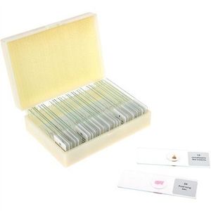 Set 30 lamele cu preparate microscopice, Zoologie, 7, 6 x 2, 5 x 0, 1 cm, uz didactic imagine