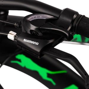 Bicicleta panther 29 inch, frane pe disc, 21 viteze, cadru otel, negru-verde imagine