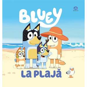 Bluey, La plaja imagine
