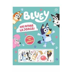 Bluey, Hai afara la joaca imagine