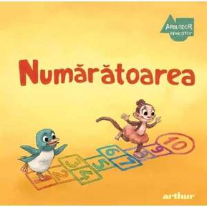 Apolodor Educator, Numaratorea imagine