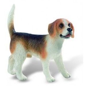 Caine Beagle imagine