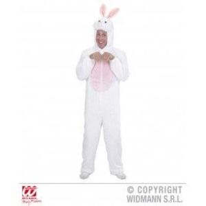 Costum iepure imagine