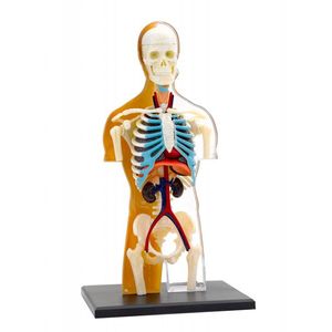Set educativ Stem - Anatomia corpului uman | Thames & Kosmos imagine