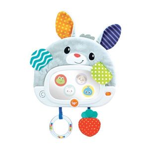 Jucarie bebelusi - Day 'N Night Bunny Pal | Winfun imagine