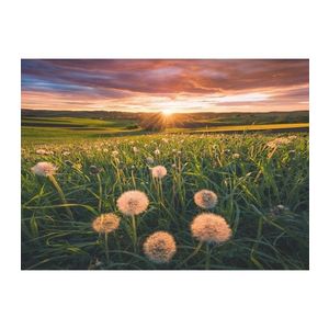 Puzzle 500 de piese - Papadii La Apus | Ravensburger imagine