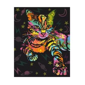 Set pictura pe numere (panza) Pisica Neon 50x40 cm imagine
