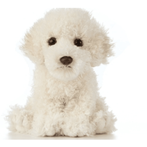 Jucarie de plus - Labradoodle | Living Nature imagine