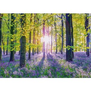 Puzzle 1000 de piese - Padurea cu zambile | Schmidt imagine