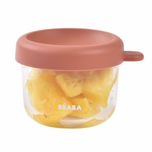 Recipient ermetic sticla Beaba 150 ml Terracotta imagine
