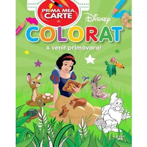Literele. Carte de colorat - *** imagine