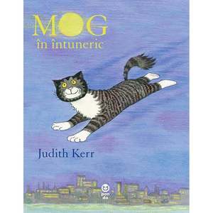 Carte Editura Pandora M, MOG in intuneric, Judith Kerr imagine