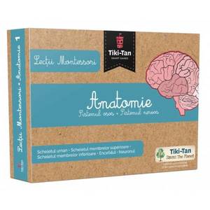 Lectii Montessori. Lectii de anatomie: Sistemul osos. Sistemul nervos imagine