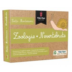 Lectii Montessori. Lectii de zoologie: Nevertebrate imagine
