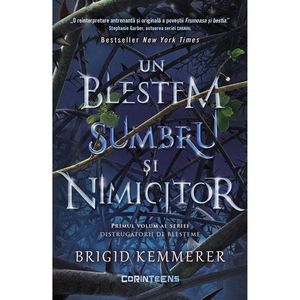 Distrugatorii de blesteme, Un blestem sumbru si nimicitor, Brigid Kemmerer, Vol. I imagine