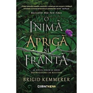 O inima apriga si franta. Seria Distrugatorii de blesteme, Vol. 2, Brigid Kemmerer imagine