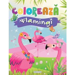 Coloreaza - Flamingi imagine